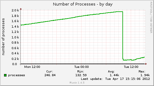 spine processes