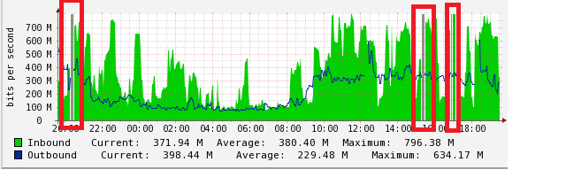 Cacti_graph.png