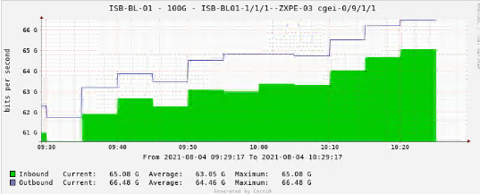 cacti-graph.PNG