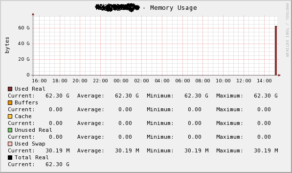 All physical memory is shown as Real Usage